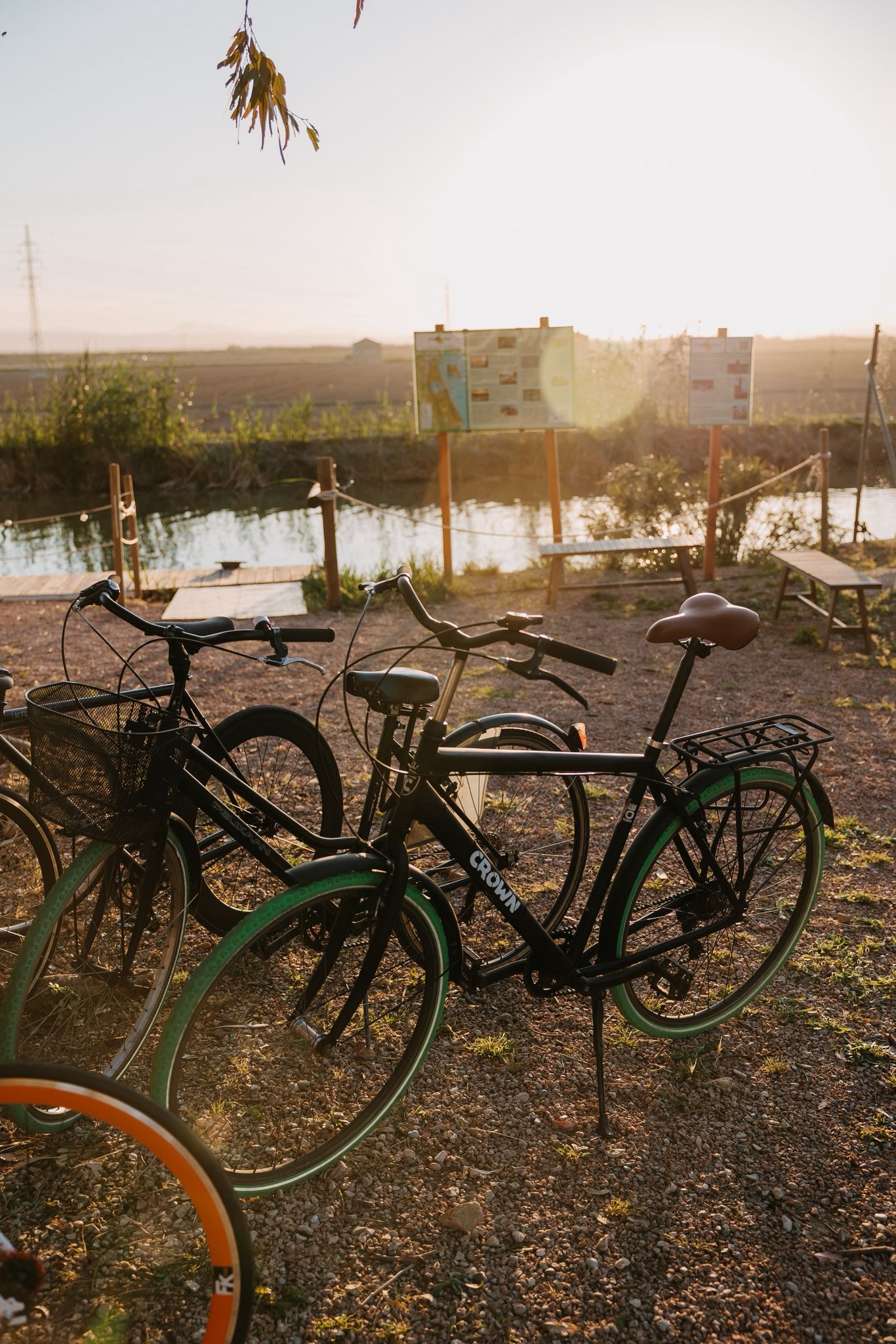 Bicicletas junto al agua de la Albufera con el sol bajo sobre los arrozales, horizonte despejado ideal para ver el eclipse solar